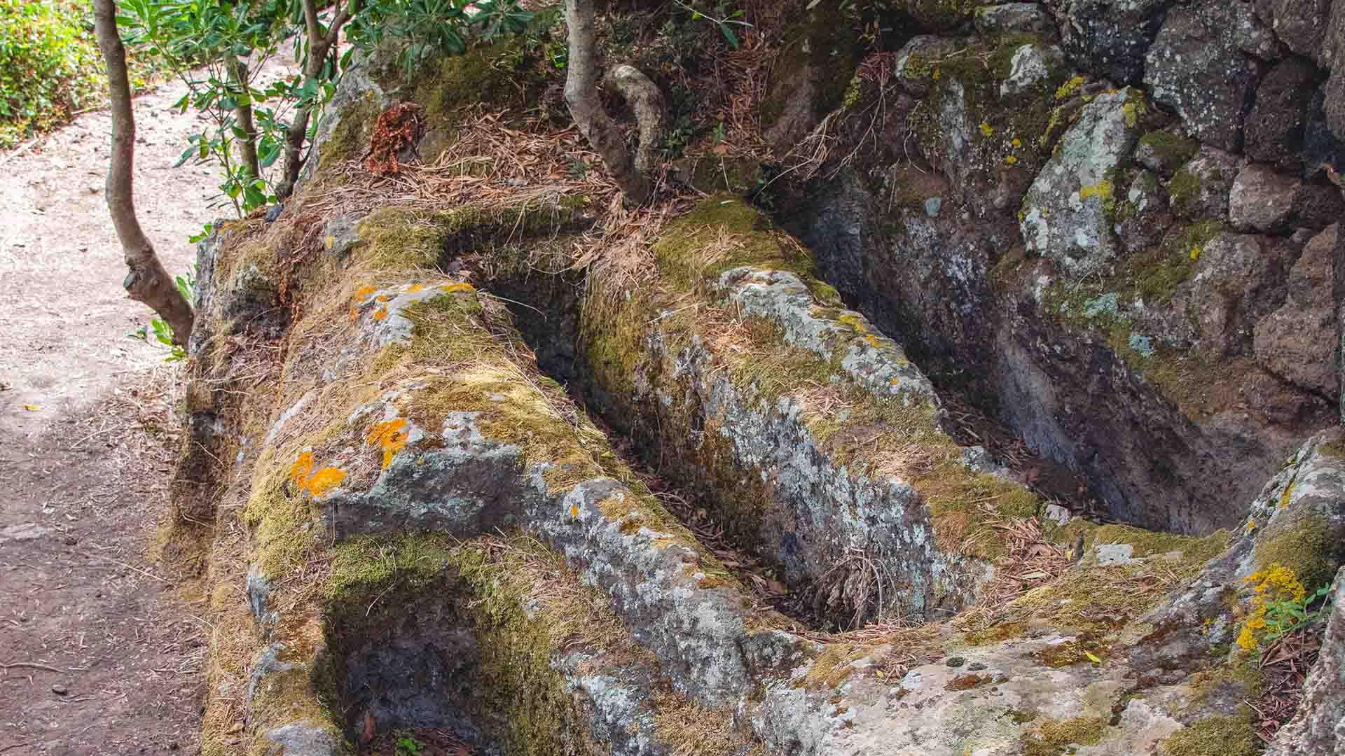 Due antiche sepolture scavate nella roccia, coperte da muschio e licheni, immerse in un ambiente naturale boscoso. Le tombe rettangolari, consumate dal tempo, testimoniano la presenza bizantina sull’isola di Pantelleria.