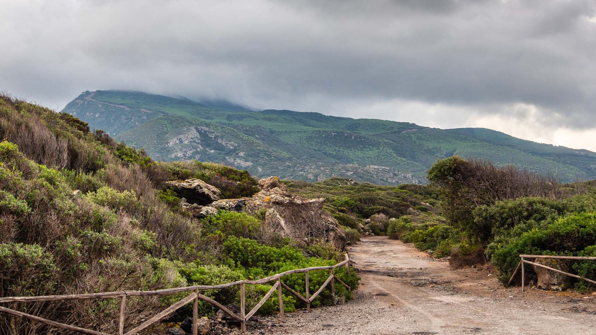 Sentiero sterrato che si snoda nel paesaggio collinare di Pantelleria con vegetazione mediterranea e il Monte Grande sullo sfondo sotto un cielo nuvoloso.