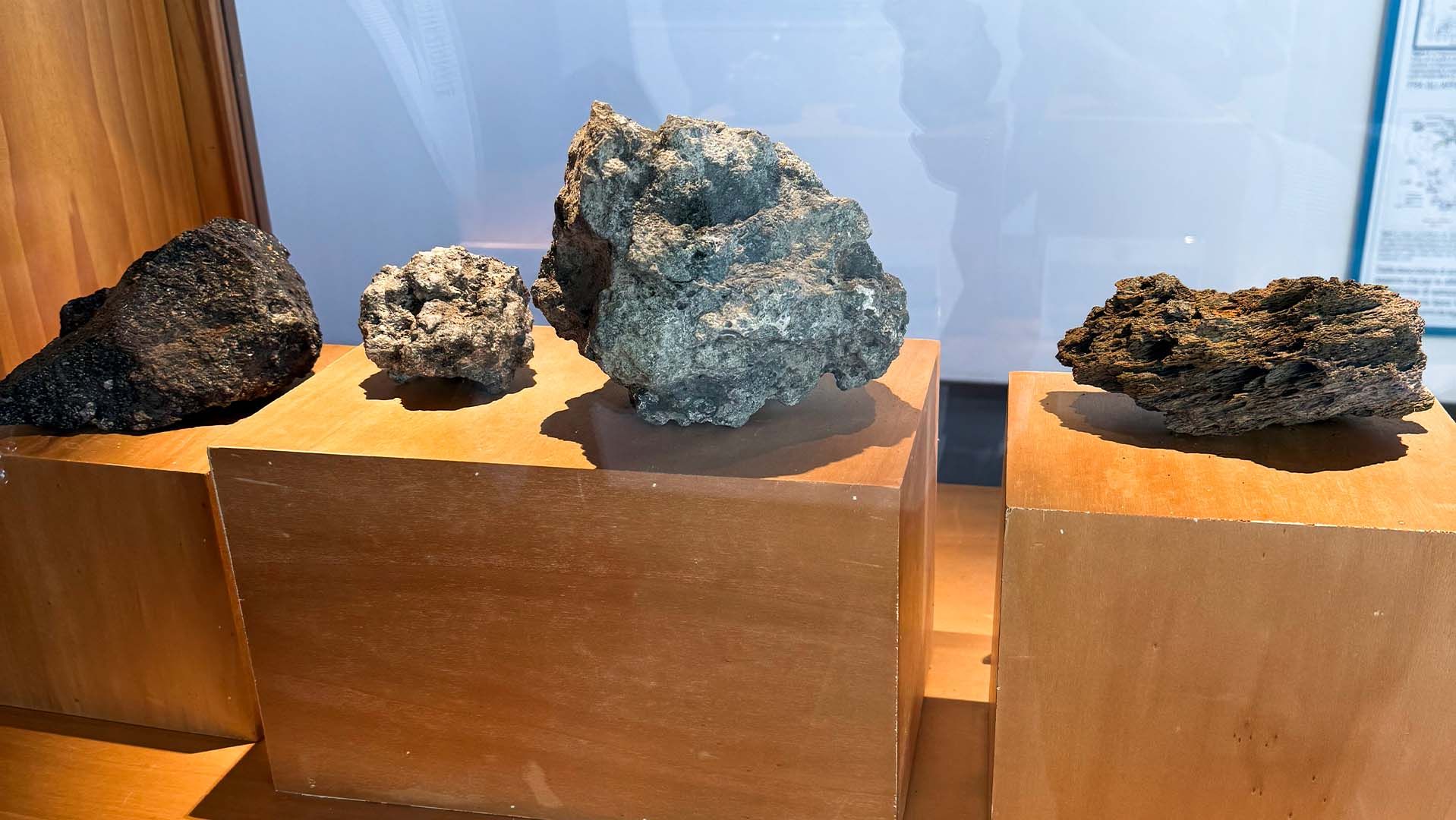Quattro campioni di rocce vulcaniche di Pantelleria esposti su piedistalli di legno in un museo.