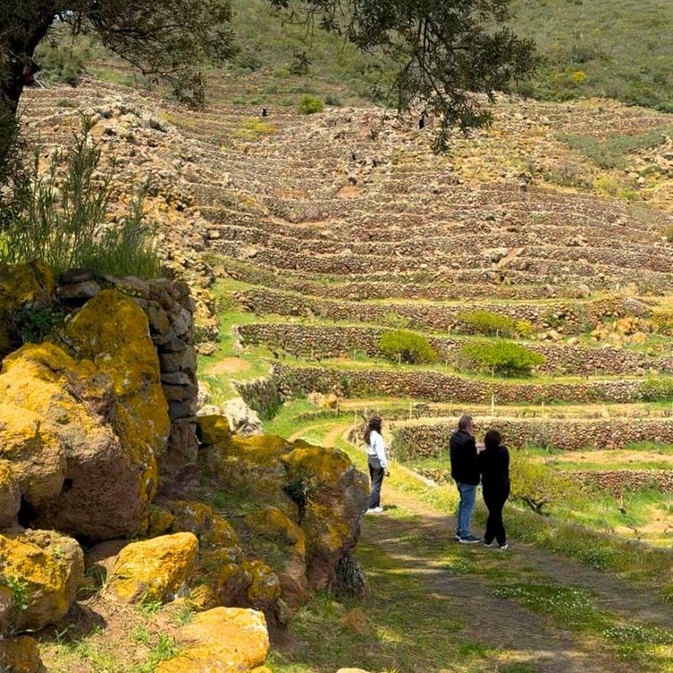 guide turistiche pantelleria